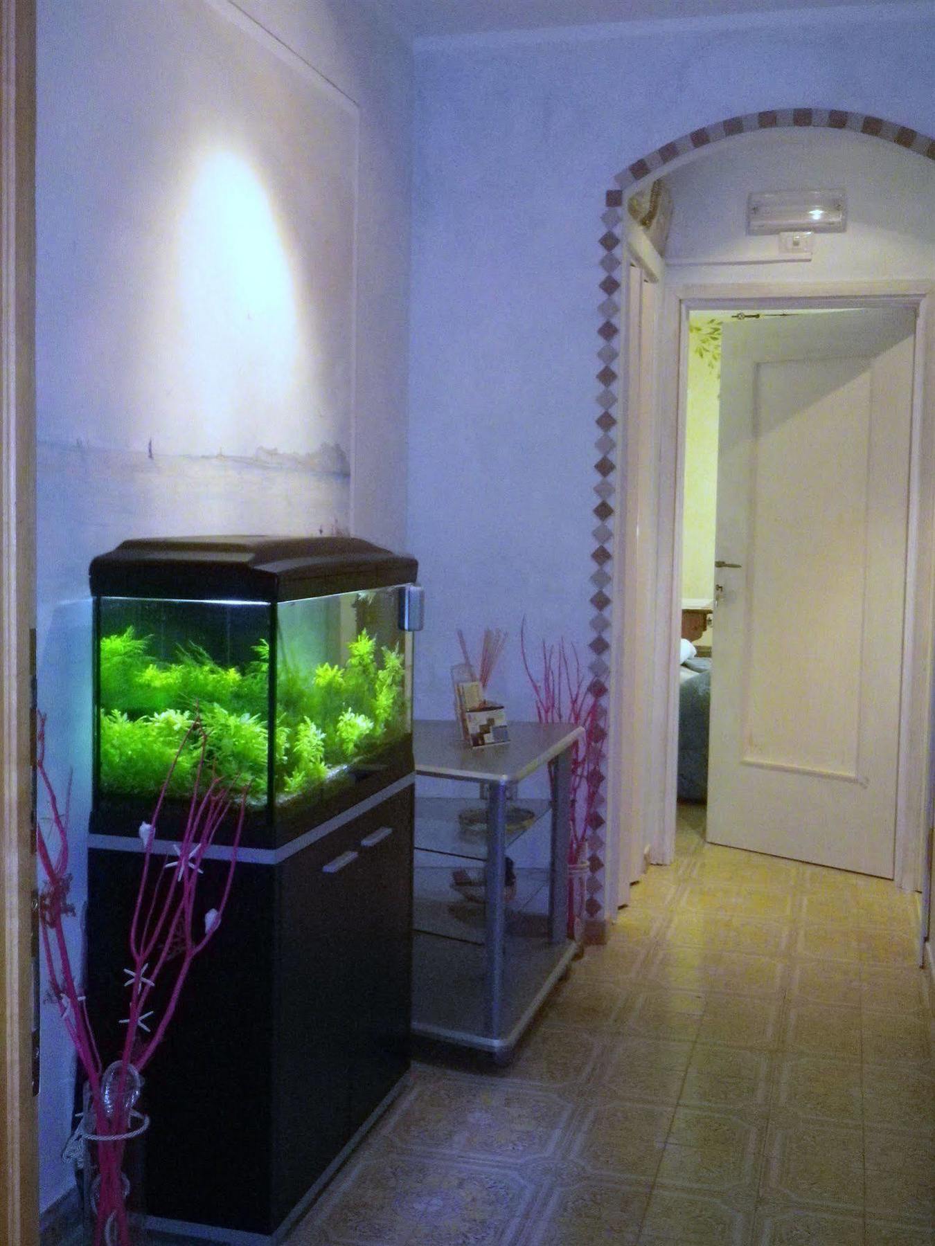 Elisart Guest House Alghero Bagian luar foto